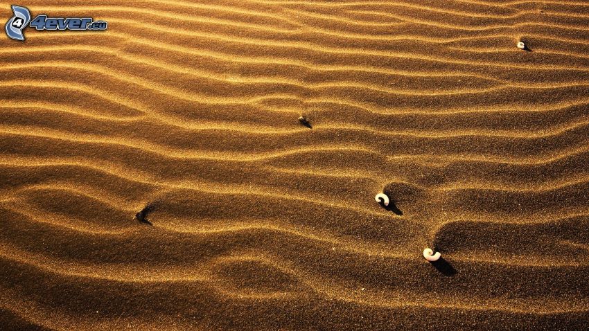 deserto, sabbia