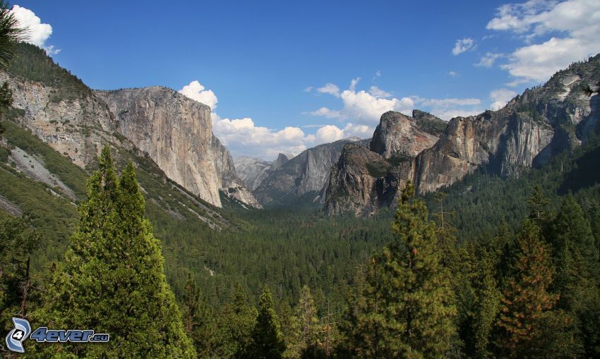 El Capitan, Parco nazionale di Yosemite, foresta