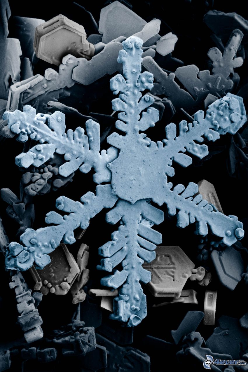 fiocco di neve, microscopio, cristallo