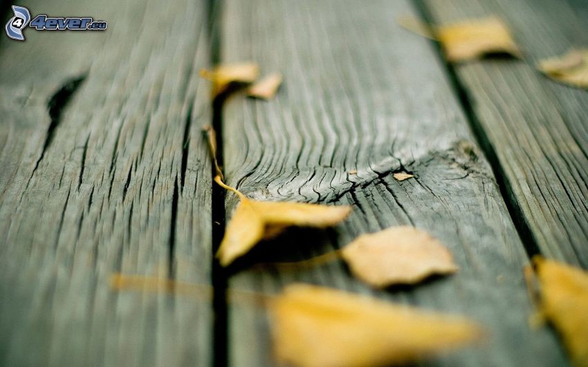 foglie gialle, tavolo, legno