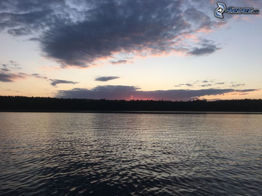 lago, silhouette di una foresta, dopo il tramonto