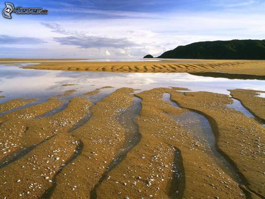 dune, spiaggia, sabbia