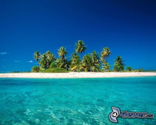 isola di palme, mare azzurro, sabbia