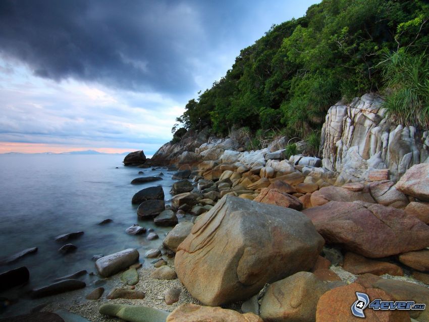 spiaggia rocciosa, foresta