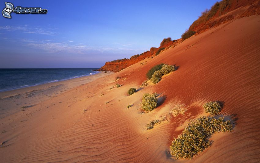 spiaggia sabbiosa, duna