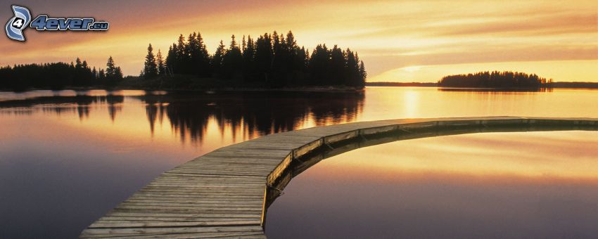 Tramonto sul mare, molo di legno, silhouette di una foresta