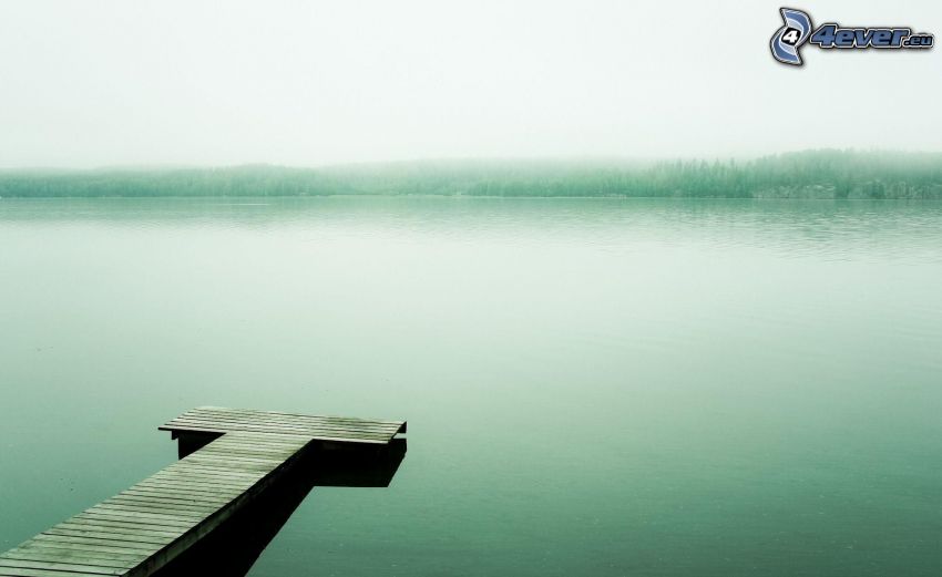 molo di legno, lago, nebbia