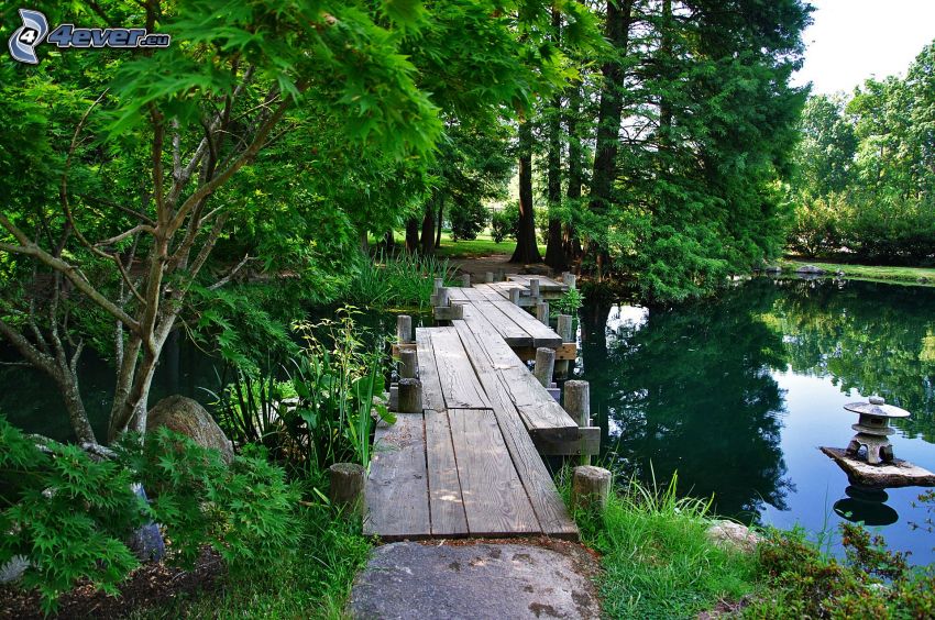 molo di legno, verde, lago, alberi