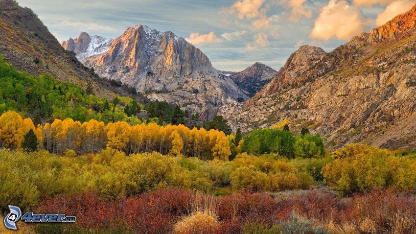 montagne rocciose, boschi colorati d'autunno