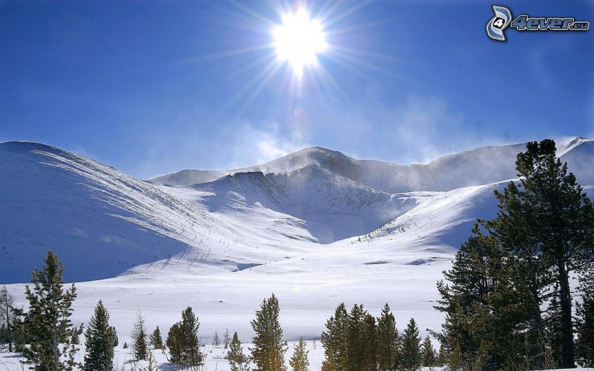 colline coperte di neve, sole