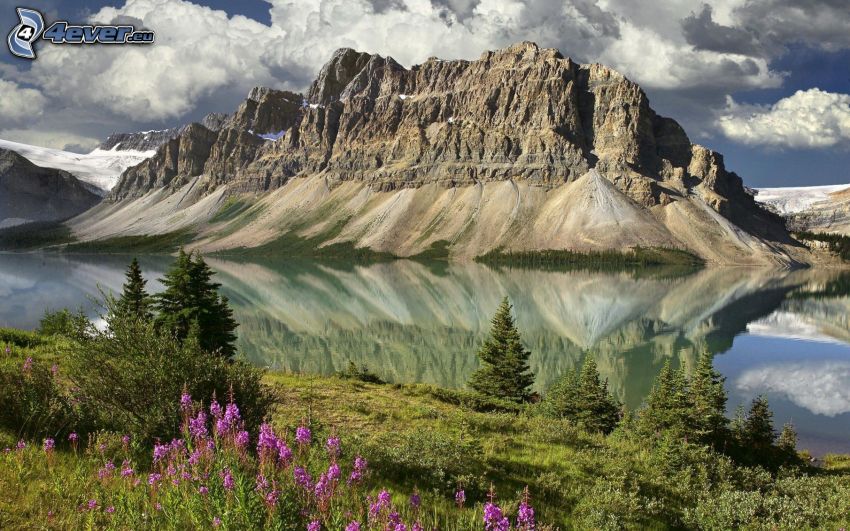 montagna rocciosa, lago, riflessione, alberi di conifere, fiori viola, nuvole
