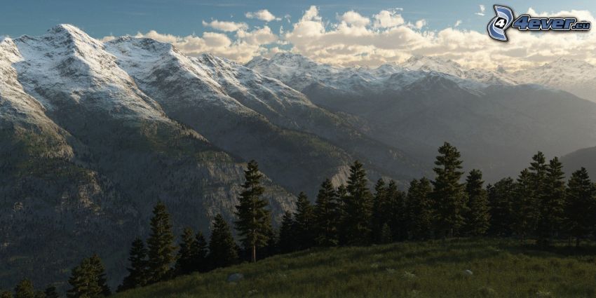 montagne innevate, alberi di conifere