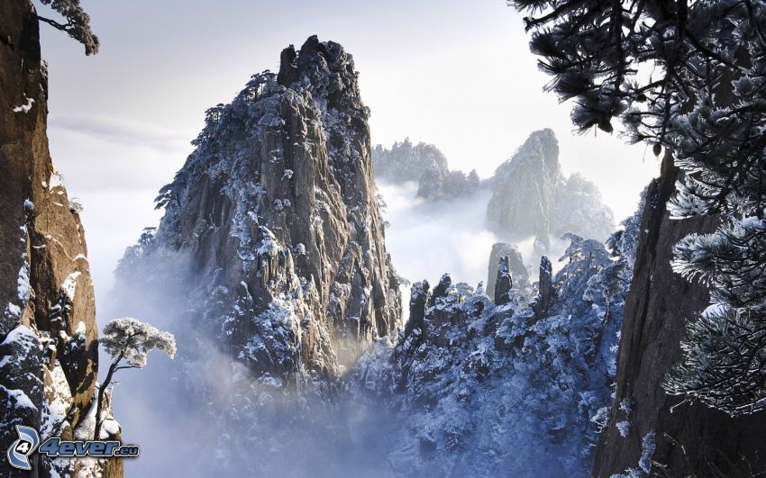 montagne rocciose, alberi coperti di neve