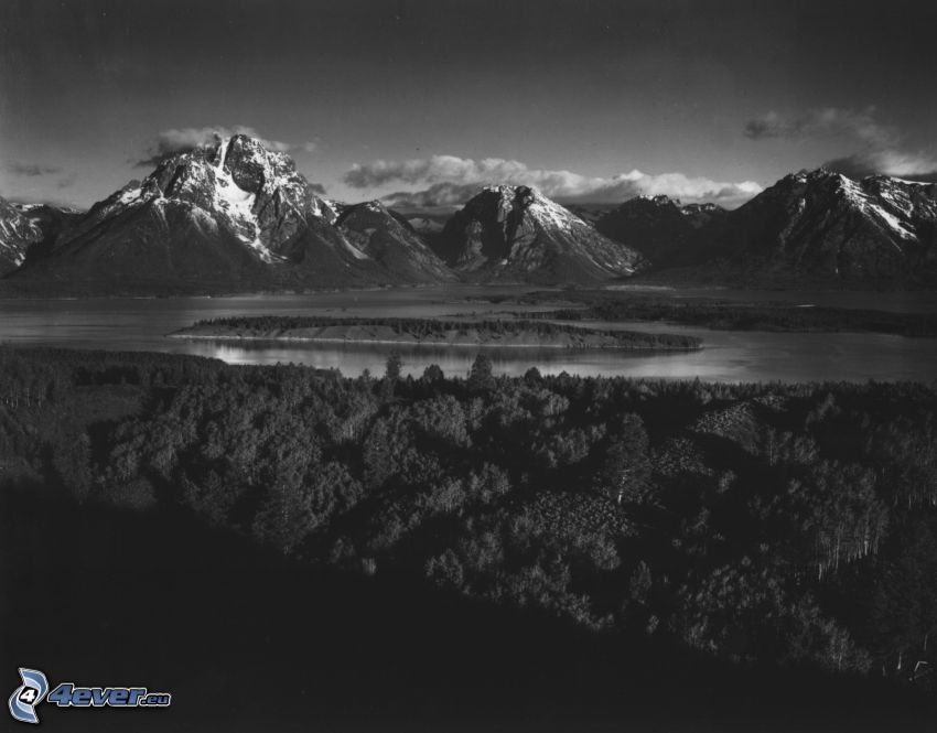 Mount Moran, Wyoming, lago, foresta, foto in bianco e nero