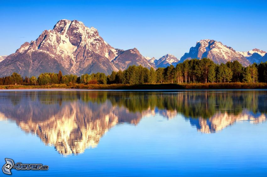 Mount Moran, Wyoming, montagne rocciose, lago, riflessione, foresta