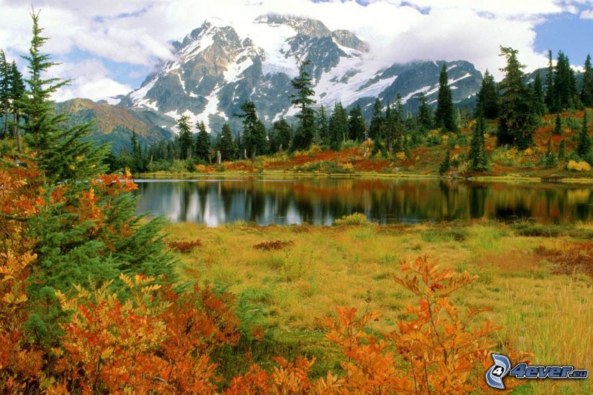Mount Shuksan, Parco nazionale North Cascades, Washington, USA, lago di montagna, boschi colorati d'autunno