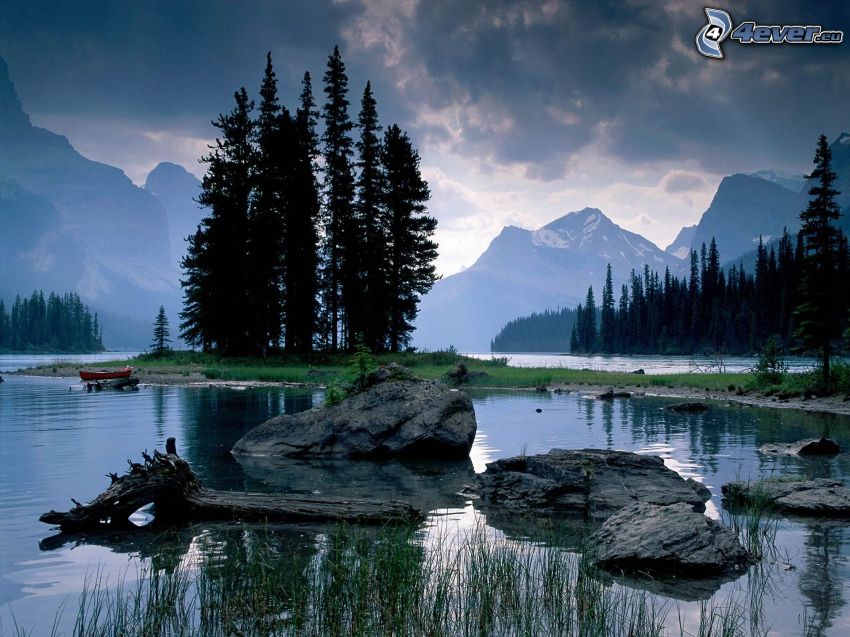 Parco nazionale Jasper, Alberta, Canada, alberi di conifere, isola, il fiume, montagne, rocce