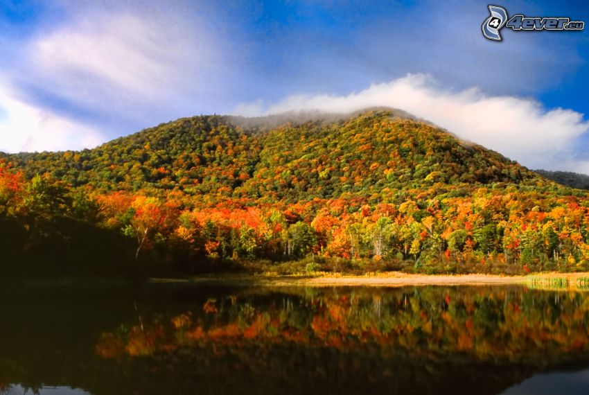 boschi colorati d'autunno, collina, lago, nuvole, Vermont, USA