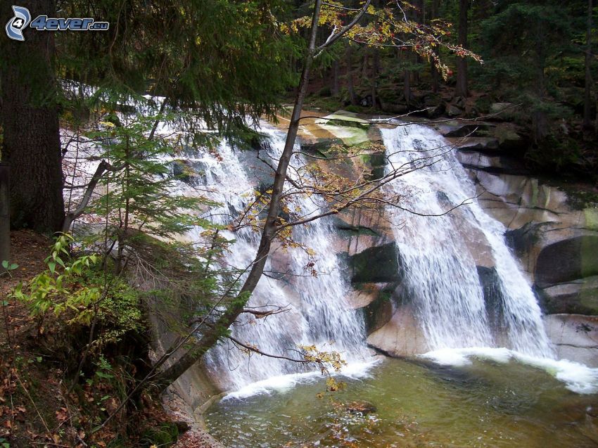 cascata di Mumlava, fiume nella foresta