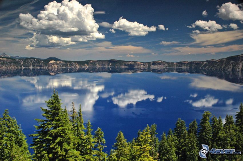 lago, superficie d'acqua calma, alberi di conifere, nuvole, cielo, riflessione