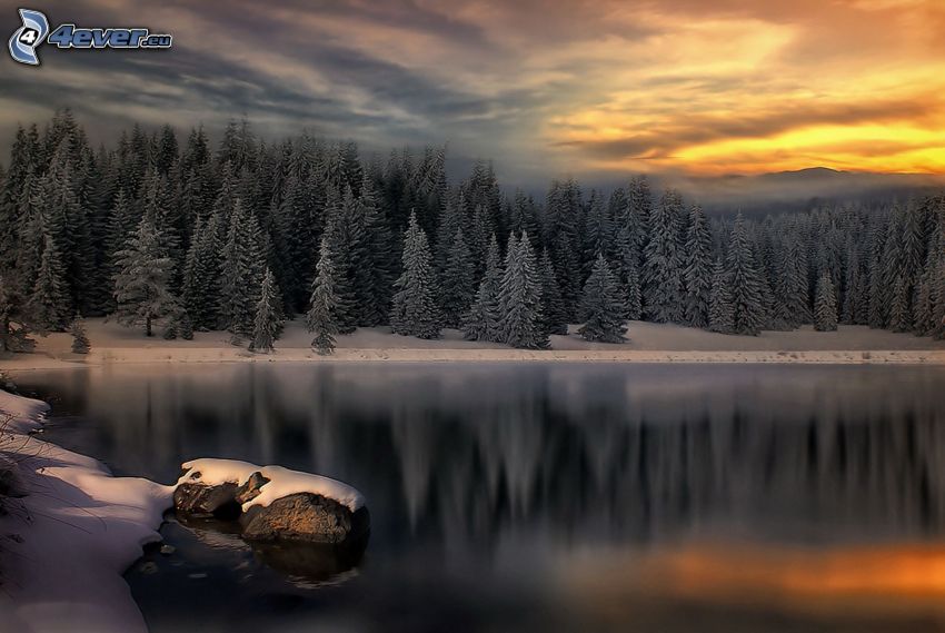 lago calmo invernale, foresta, tramonto