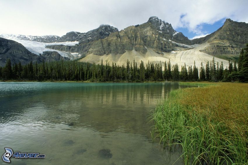 Lago nel bosco, montagne rocciose, Alberta, Canada, Columbia Britannica