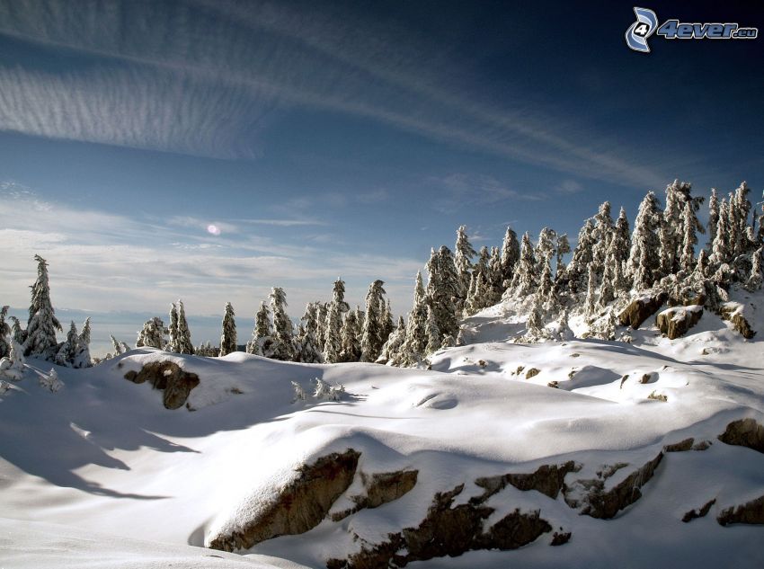 paesaggio innevato