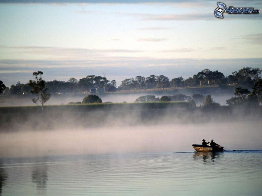 pescatori, cinesi, imbarcazione, il fiume, nebbia sopra un lago