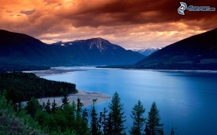 Upper Arrow Lake, Columbia Britannica, acqua, bosco di conifere