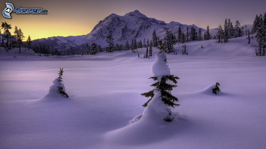 paesaggio innevato, montagna innevata, neve
