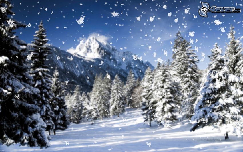 paesaggio innevato, nevicata, alberi coperti di neve, montagna innevata