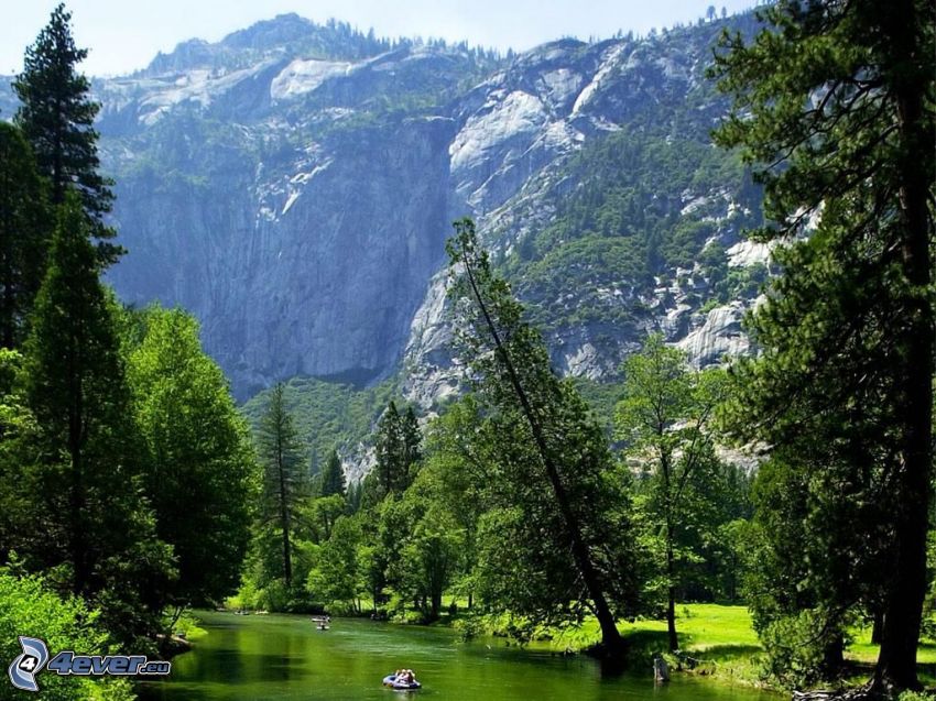 Parco nazionale di Yosemite, rafting, il fiume, alberi di conifere, collina rocciosa
