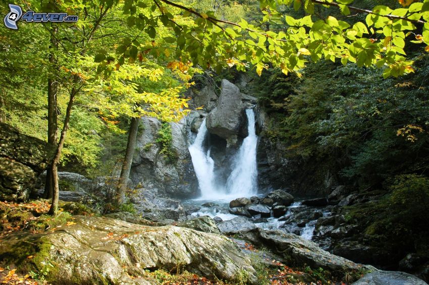 parco nazionale Slovensky raj, cascata nella foresta
