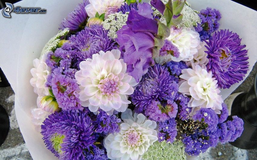 bouquet, fiori blu, fiori bianchi