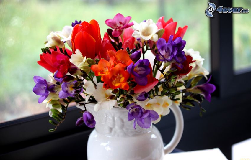 fiori in un vaso