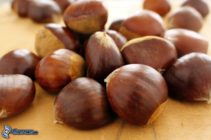 castagne