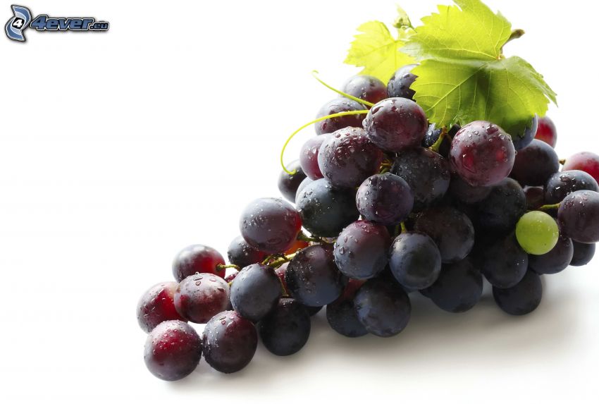 grappolo d'uva