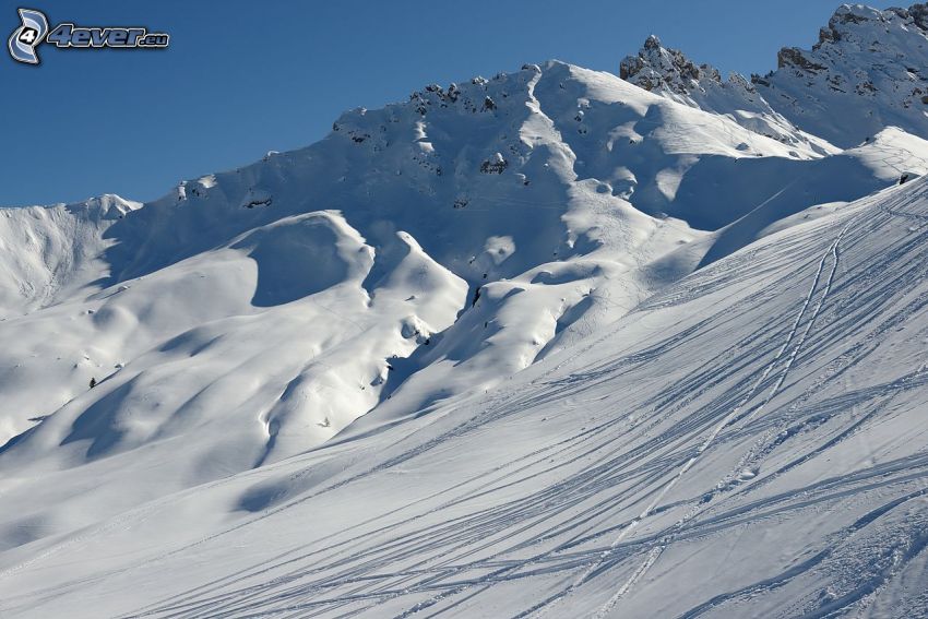 pista da sci, montagna innevata, tracce nella neve