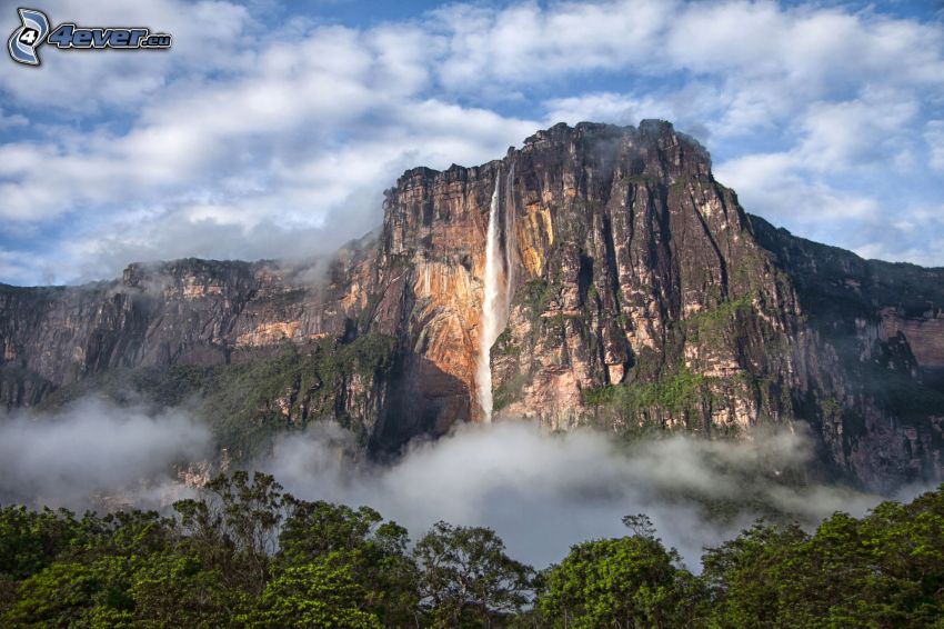 Salto Ángel, scogliera, foresta, Venezuela