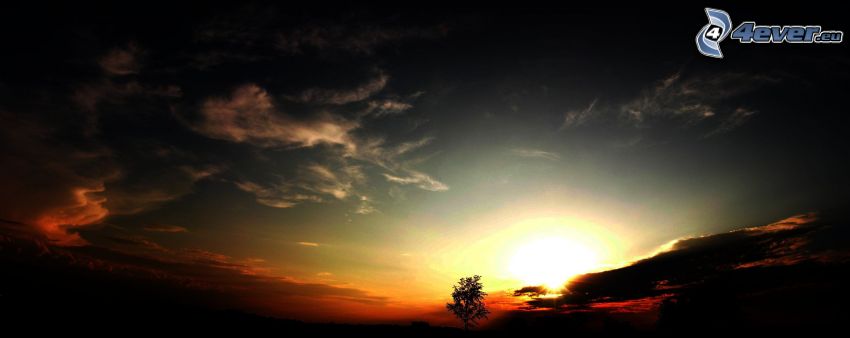 Scuro tramonto, nuvole, albero solitario