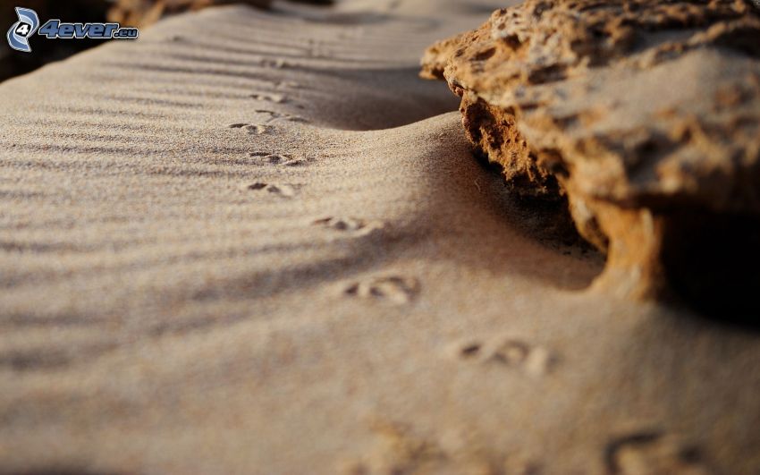 tracce in sabbia