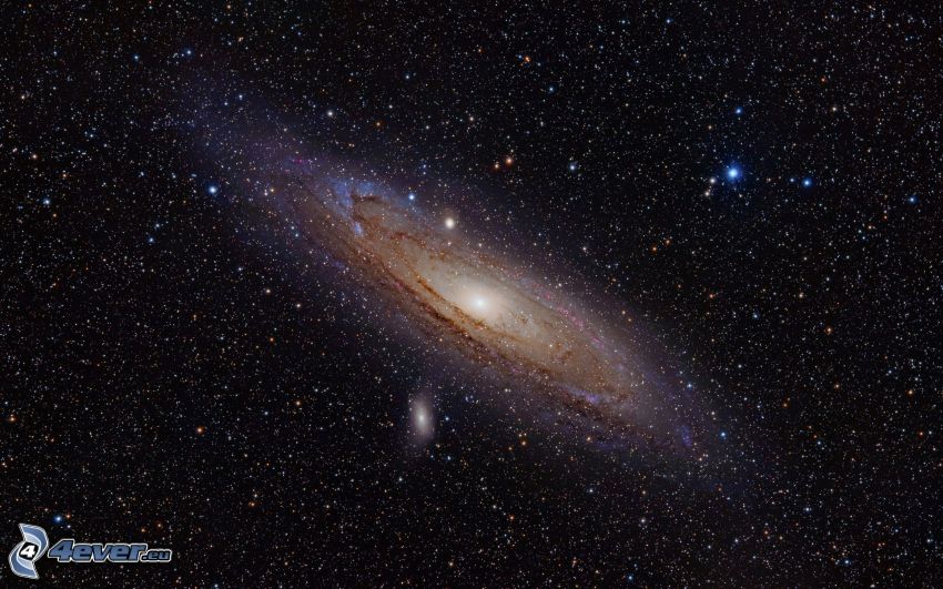 Andromeda, galassia, stelle