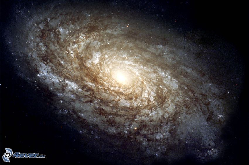 galassia spirale