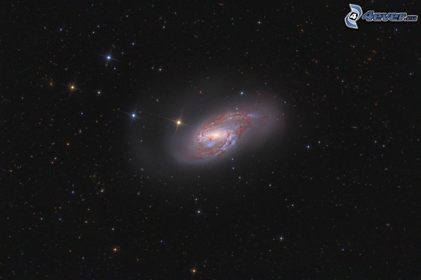 M66, galassia spirale, stelle