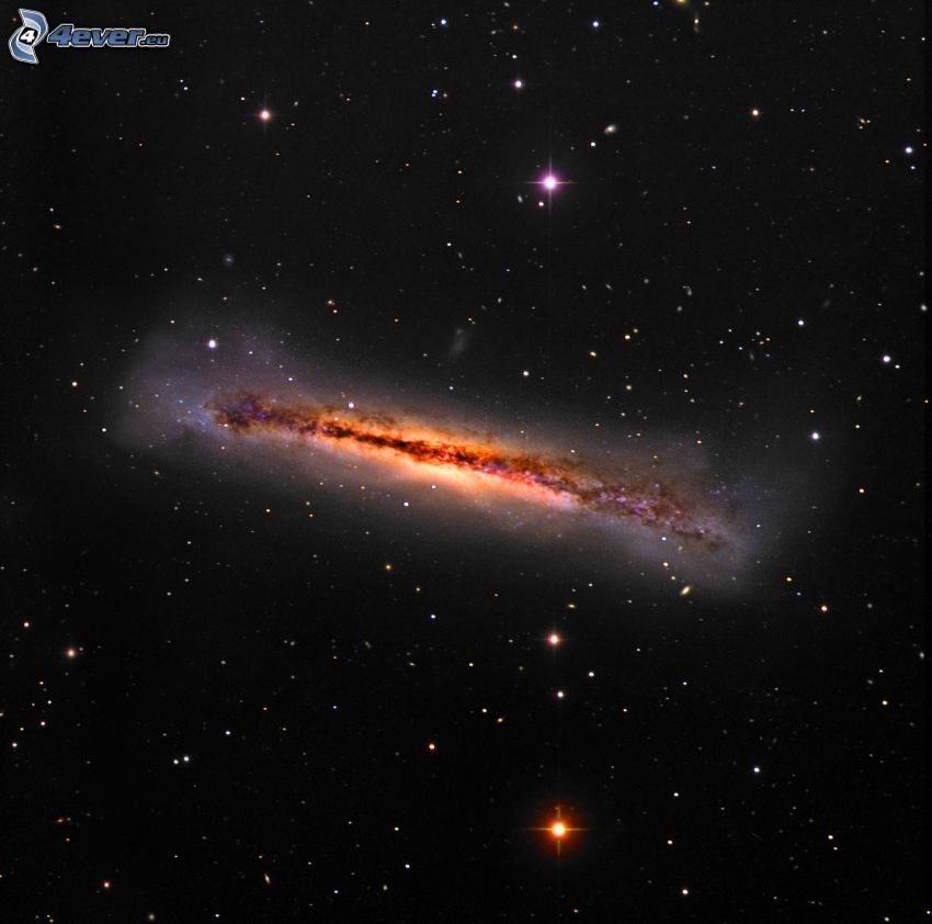 M66, galassia spirale, stelle