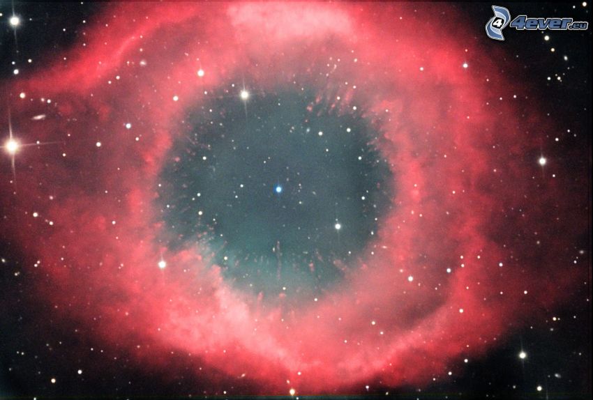 nebulosa Elica, stelle