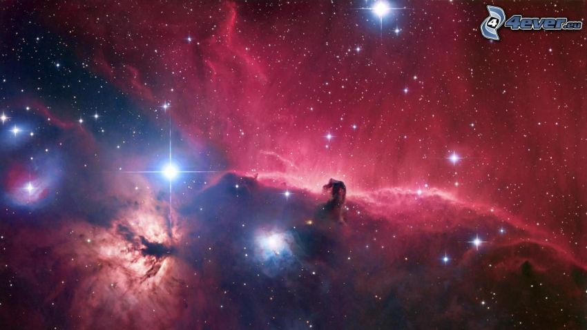 Nebulosa Testa di Cavallo, nebulose, stelle