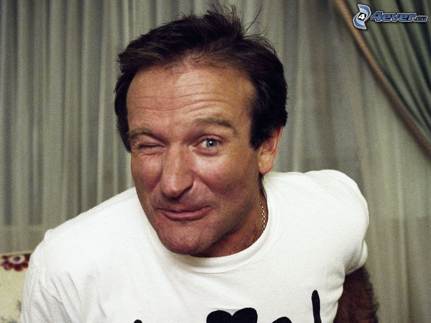 Robin Williams, ammiccare
