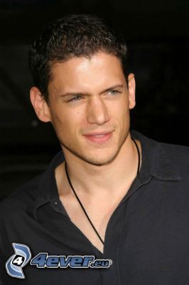 Wentworth Miller, Prison Break, attore