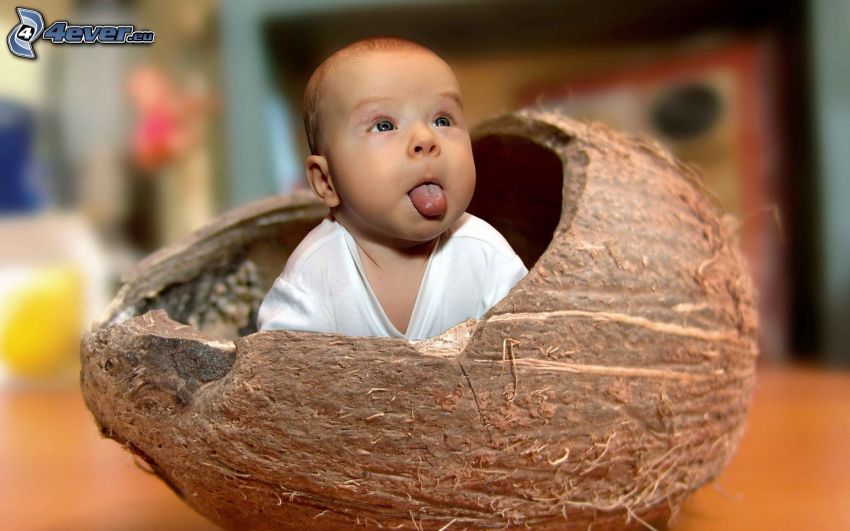 bambino, la lingua fuori, noce di cocco, guscio d'uovo, fotomontaggio
